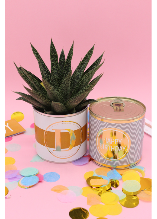 Cancake Happy Birthday grau Brownie (92,50€/Kg)